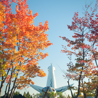 錦繍の秋に魅せられて…近畿地方での紅葉の名所を訪れよう【大阪府北部編】