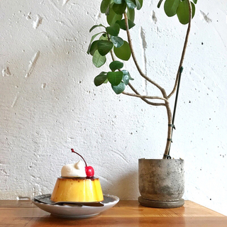 どこか懐かしい味がする…。ぽってりかわいい“プリン”を探しにお出かけしましょう♪