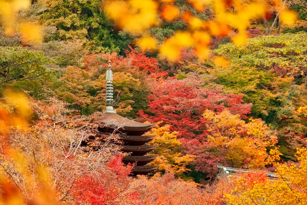 コリキ君様【秋の壁面飾り】まとめ4点『秋の七草・紅葉～お月さま・紅葉のドレス』他 コリキ君様【秋の壁面飾り】まとめ4点『秋の七草・紅葉～お月