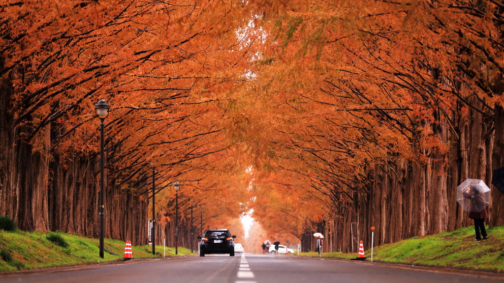 木製 香合 金色内側 紅葉絵付 木製 香合 金色内側 紅葉絵付（はしもと陶芸館ブログ）
