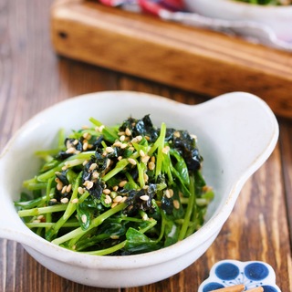 お弁当作りの強い味方！栄養豊富でお財布に優しい「豆苗」の簡単お弁当レシピ