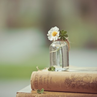 穏やかな気持ちを取り戻すために。探してみよう、自分なりの「心が落ち着く場所やモノ」