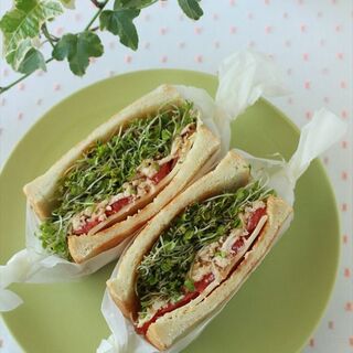 “野菜高騰！”そんな時に役立ちます◎お財布に優しいお助け食材＆アイデアレシピ集