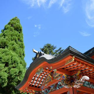 自然・アート・食を満喫する大人旅♪「鹿児島・霧島」の観光スポット＆ランチ案内