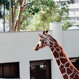 お財布にうれしい♪【関東】無料で楽しめる動物園6選