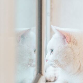 ふっと心が軽くなる。「良い」「悪い」をジャッジしない考え方のヒント