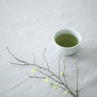 もっとおいしく、秋の『お茶時間』。上手な“緑茶の入れ方”とおすすめ“茶器・茶葉”