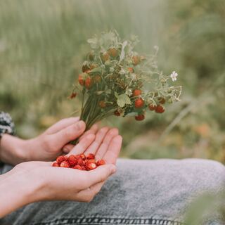 ゆるりと始めてみない？幸せを呼び込む《言葉・考え方・行動》10の習慣