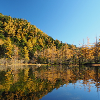 名所も温泉も！【長野】を満喫するとっておきの観光＆グルメ女子旅プラン