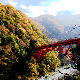大自然に囲まれて心を満たそう！【富山】のおすすめ温泉地と周辺ガイド