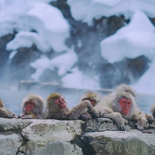 疲れた体に最高の癒しを。【長野県】の温泉15選＆おすすめの温泉宿