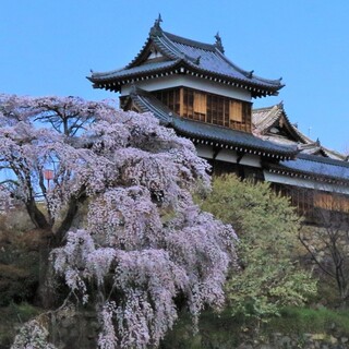 春爛漫とした陽気に包まれながら絶景を楽しもう♪桜の名所8選【奈良県編】