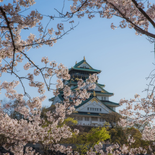 春爛漫とした陽気に包まれながら絶景を楽しもう♪桜の名所10選【大阪府編】