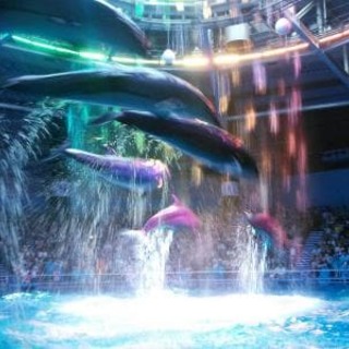 【国内】独特な世界観で「海の生き物」をみる。ユニーク＆アート水族館6選