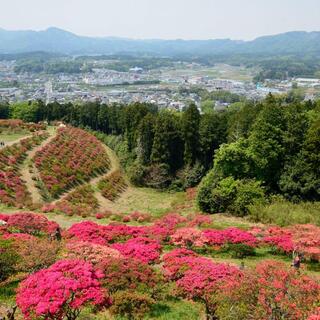 器に、カフェに、福招き。日本一の栗の里「笠間」を歩く“わたしの気まま旅”