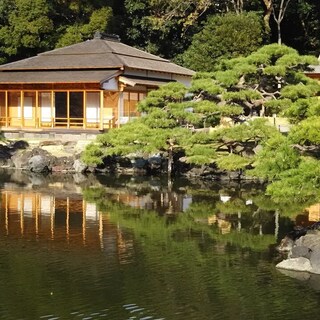 大人も楽しめる都内の公園15選｜美しい景色やアクティビティで1日を満喫！