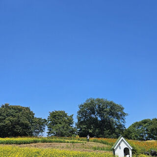 本当に住みたい町はどこ？ナチュラルさんにおすすめの街10選【自然が多い23区外編】