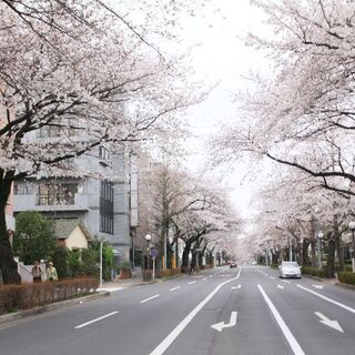 本当に住みたい町はどこ？ナチュラルさんにおすすめの街10選【自然が多い23区外編】