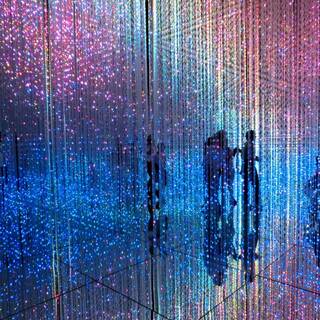 知るって楽しい！未知なる体験ができる東京のおもしろスポット10