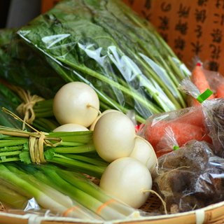 冬野菜を長く食べきる！【漬け物・冷凍・大量消費】賢い保存法＆調理法