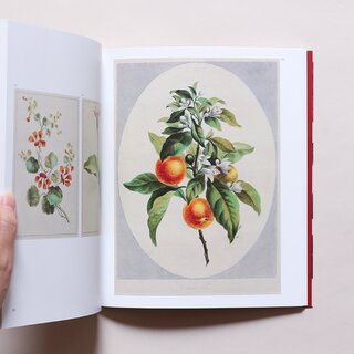 世界の美しさを改めて実感* 大人の心を豊かにする「図鑑・辞典」ガイド22選