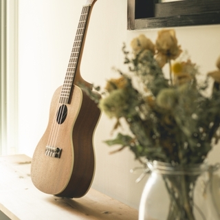 『ウクレレ』なら短期間でマスターできる。初心者にぴったりのおすすめセット