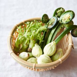 春の恵みを美味しくいただく、旬を味わう"山菜レシピ"