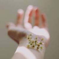 心穏やかに暮らしたいあなたへ 自分にやさしくする思考 のヒント キナリノ