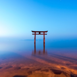 水面と鳥居のおりなす景色が美しい。全国の「水上鳥居」に出かけませんか？