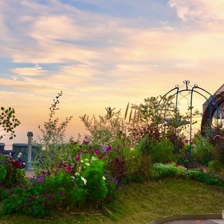 ハーブの香りに包まれて、のんびり秋散歩。《兵庫県・布引ハーブ園》の見どころ