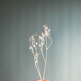 「捨てられない」ジレンマから抜け出そう！人生を軽やかにする《捨て方レッスン》