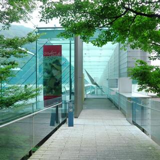 美しい自然とアートな世界。《箱根の美術館巡り》で、芸術あふれる休日を。