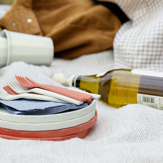 暖かな春の日差しの中で＊〈大人ピクニック〉を楽しむアイデア手帖