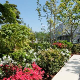 のんびり時間にうってつけ♪とっておきの「屋上庭園」で過ごすひとり時間。