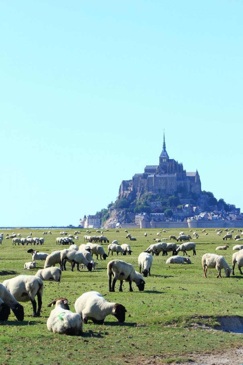 息を飲む美しさ 優雅で幻想的な ヨーロッパの古城 宮殿 キナリノ