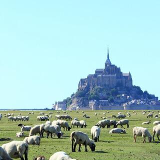 息を飲む美しさ！優雅で幻想的な〈ヨーロッパの古城・宮殿〉