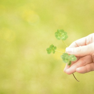 あなたも「運がいい人」になれる！幸運を受け取る習慣とご縁のつなぎ方