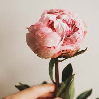 想定外な出来事が起きてもめげないで。ピンチを“チャンス”に変える力をつけよう