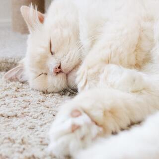 不安なときこそ、あなたも私もごきげんに。心がまるくなる10のヒント