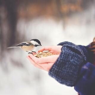 元気が出ない日があってもいい。ネガティブな気持ちとの上手な付き合い方