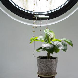 「おうち時間」をもっと満喫♪過ごし方のアイデアと楽しい気分転換術