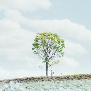 人生で本当にやりたいことって？夢や目標を見つけるヒントと質問リスト