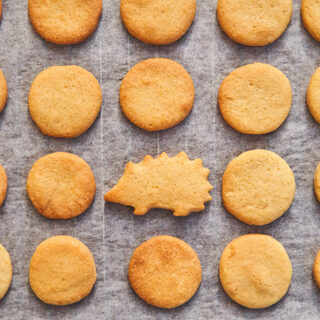 一緒に作ると楽しい！美味しい！親子でこねよう【粉モノレシピ】