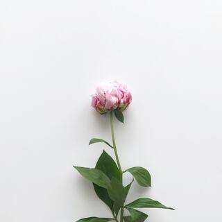 ありのままの素直な自分でいたいから。自然と穏やかな心になれる思考法