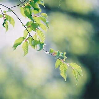 窓を開けて、風を感じながら…。新緑の季節に読みたい小説15選