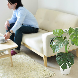 リビングがぐっと快適に。「ソファ周り」をくつろぎスペースにする工夫