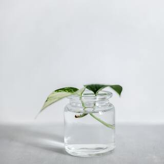 継続パワーってすごい！小さな積み重ねがくれる大きな結果を信じよう