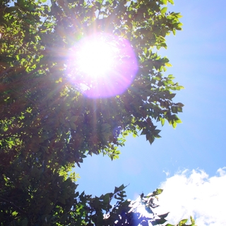 おしゃれな『フェイスカバー』で日焼け対策。高品質なおすすめカタログ