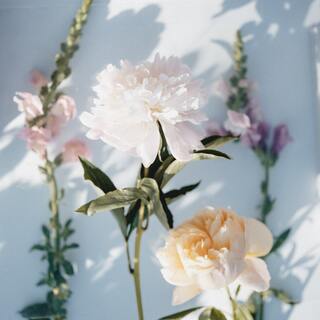 日々の疲れを癒し、コンディションを整える。「わたしを潤すこと」の見つけ方