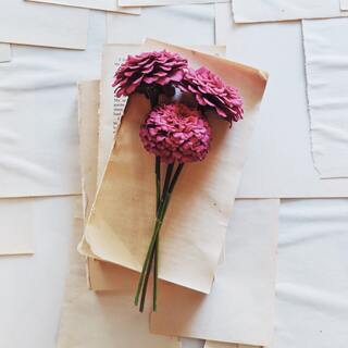 素直で誠実、丁寧で美しい所作。うわべだけじゃない「自分磨き」のヒント